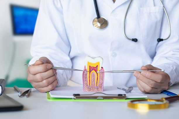 Best Urgent Dental Care in Brownsburg, IN